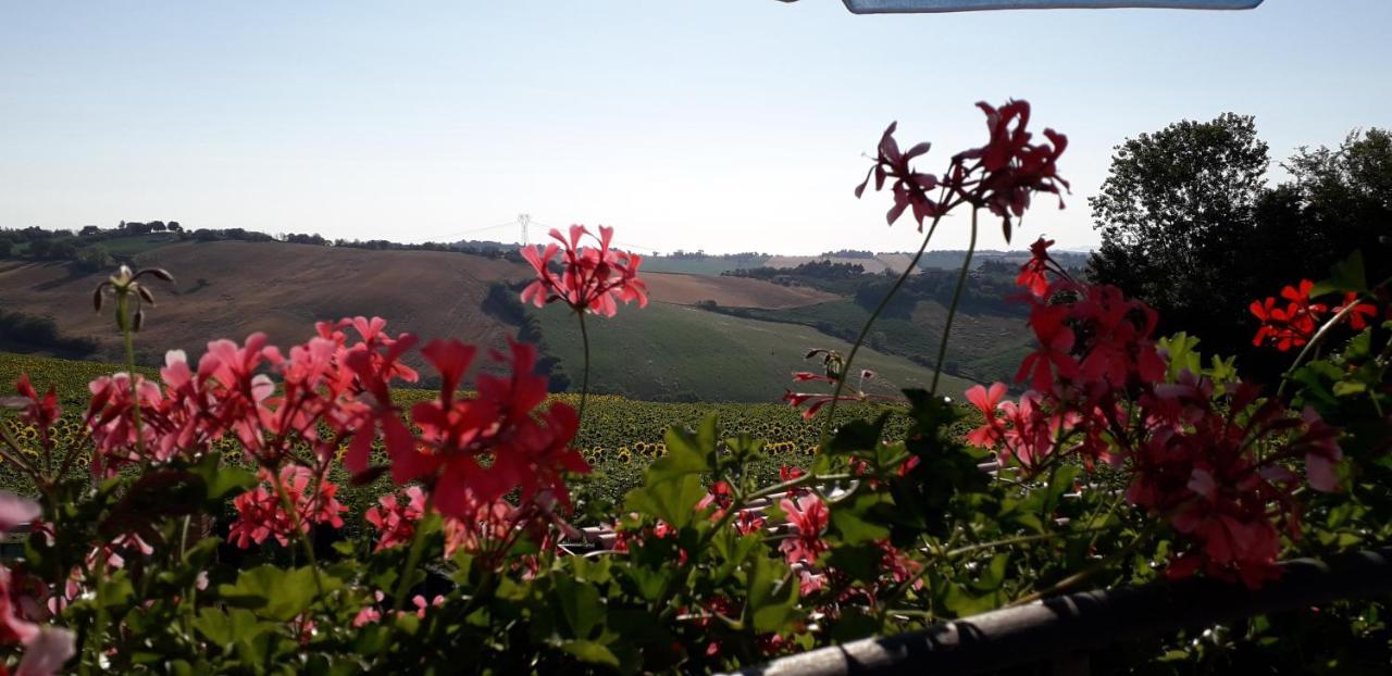 Lo Scrigno Di Simon Bed and Breakfast Senigallia Buitenkant foto